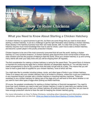 What you Need to Know About Starting a Chicken Hatchery
A chicken hatchery is a good business to get into, but there are some things that you need to know about
starting a chicken hatchery. It can be a challenge to get the right information about starting a chicken hatchery,
those already in the hatchery business have their own trade secrets. Still, it is clear that running a chicken
hatchery requires much more knowledge than how to care for chicks. Learn how to start a chicken hatchery
and become a power player in the poultry production industry.

Chicken happens to be one of the most commonly consumed food all over the world, starting a chicken
hatchery is a very lucrative endeavor. A chicken hatchery goes beyond that of the normal duties of those who
raise chickens and has the purpose of helping to feed the world. Once your chicken hatchery is up and running
many clients will order your baby birds and you will be shipping them off regularly.

The first consideration for making a chicken hatchery is caring for the parent flock. The parent flock of chickens
is important for producing the eggs that a chicken hatchery so desperately depends on. You will also have to
make arrangements to care for any juvenile chick that does not get sold as a baby. This means that you will
have to have a great deal of supplies for your chicken hatchery, none of which are free.

You might also like to consider including turkeys, ducks, and other types of birds in your chicken hatchery.
There is no reason why your chicken hatchery has to be limited to chickens, unless this is just your preference.
A very important thing to consider with a chicken hatchery is importing hatchery machines. These are
necessary to any chicken hatchery for taking care of the eggs and you will have to think about whether or not
you want to have other types of eggs when picking out these machines.

Of course, the greatest consideration for starting a chicken hatchery is financial management. You need to
know how many chickens you need to start your chicken hatchery in order to make back your startup funds.
If possible, it is always good to start your chicken hatchery off small and build it up over time, but you have to
have enough production volume to have the cash for keeping the chicken hatchery going.

For more information on How To Raise Chickens, including other interesting and informative articles
and photos, please click on this link: What you Need to Know About Starting a Chicken Hatchery
 