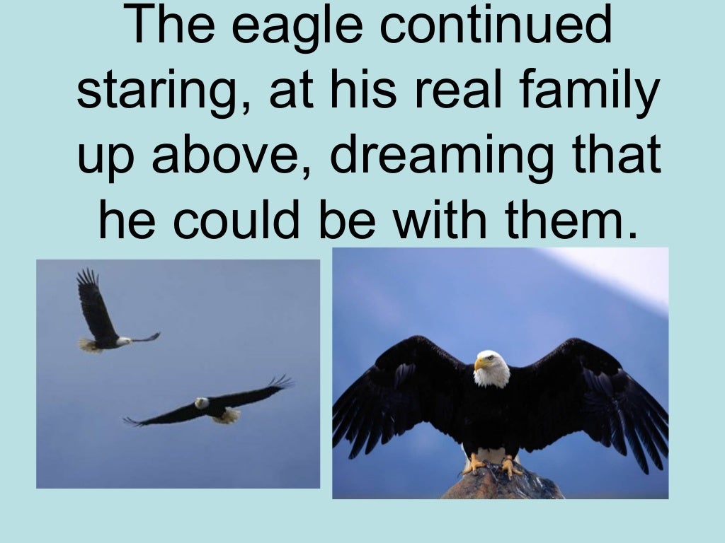 Chicken and the eagle