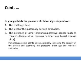 Cont. …
In younger birds the presence of clinical signs depends on:
1. The challenge dose.
2. The level of the maternally derived antibodies.
3. The presence of other immunosuppressive agents (such as
marek’s disease virus, reovirus or infectious bursal disease
virus).
Immunosuppressive agents act synergistically increasing the severity of
the disease and overriding the protective effect age and maternal
antibodies.
 