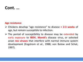 Cont. …
Age resistance
 Chickens develop “age resistance” to disease > 2-3 weeks of
age, but remain susceptible to infection.
 The period of susceptibility to disease may be extended by
early exposure to IBDV, Marek’s disease virus, or selected
avian reo viruses that interfere with normal immune system
development (Engstrom et al., 1988; von Bulow and Schat,
1997).
 