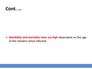Chicken Anemia Virus