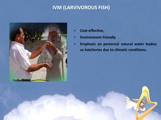IVM (LARVIVOROUS FISH)
• Cost-effective,
• Environment-friendly
• Emphasis on perennial natural water bodies
as hatcheries due to climatic conditions.
 