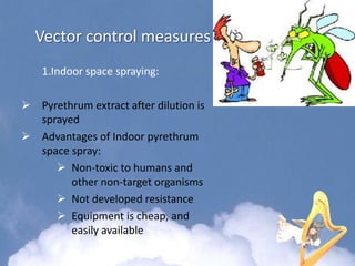 Vector control measures
1.Indoor space spraying:
 Pyrethrum extract after dilution is
sprayed
 Advantages of Indoor pyrethrum
space spray:
 Non-toxic to humans and
other non-target organisms
 Not developed resistance
 Equipment is cheap, and
easily available
 