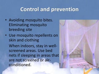 Control and prevention
• Avoiding mosquito bites.
Eliminating mosquito
breeding site
• Use mosquito repellents on
skin and clothing
When indoors, stay in well-
screened areas. Use bed
nets if sleeping in areas that
are not screened or air-
conditioned.
 