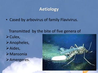 Aetiology
• Cased by arbovirus of family Flavivirus.
Transmitted by the bite of five genera of
Culex,
Anopheles,
Aides,
Mansonia
Amergeres.
 