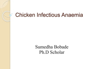 Chicken Infectious Anaemia
Sumedha Bobade
Ph.D Scholar
 