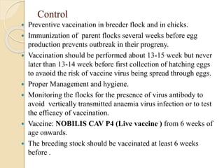 Control
 Preventive vaccination in breeder flock and in chicks.
 Immunization of parent flocks several weeks before egg
production prevents outbreak in their progreny.
 Vaccination should be performed about 13-15 week but never
later than 13-14 week before first collection of hatching eggs
to avaoid the risk of vaccine virus being spread through eggs.
 Proper Management and hygiene.
 Monitoring the flocks for the presence of virus antibody to
avoid vertically transmitted anaemia virus infection or to test
the efficacy of vaccination.
 Vaccine: NOBILIS CAV P4 (Live vaccine ) from 6 weeks of
age onwards.
 The breeding stock should be vaccinated at least 6 weeks
before .
 