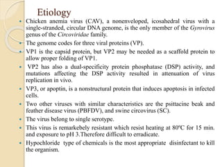 Etiology
 Chicken anemia virus (CAV), a nonenveloped, icosahedral virus with a
single-stranded, circular DNA genome, is the only member of the Gyrovirus
genus of the Circoviridae family.
 The genome codes for three viral proteins (VP).
 VP1 is the capsid protein, but VP2 may be needed as a scaffold protein to
allow proper folding of VP1.
 VP2 has also a dual-specificity protein phosphatase (DSP) activity, and
mutations affecting the DSP activity resulted in attenuation of virus
replication in vivo.
 VP3, or apoptin, is a nonstructural protein that induces apoptosis in infected
cells.
 Two other viruses with similar characteristics are the psittacine beak and
feather disease virus (PBFDV), and swine circovirus (SC).
 The virus belong to single serotype.
 This virus is remarkebely resistant which resist heating at 80ºC for 15 min.
and exposure to pH 3.Therefore difficult to erradicate.
 Hypochloride type of chemicals is the most appropriate disinfectant to kill
the organism.
 