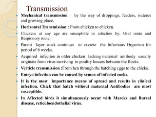 Transmission
 Mechanical transmission : by the way of droppings, feeders, wateres
and growing place.
 Horizontal Transmission : From chicken to chicken.
 Chickens at any age are susceptible to infection by: Oral route and
Respiratory route.
 Parent layer stock continues to excrete the Infectious Organism for
period of 6 weeks.
 Acquired infection in older chicken lacking maternal antibody usually
originate from virus surviving in poultry houses between the flocks.
 Verticle transmission :From hen through the hatching eggs to the chicks.
 Emryo infection can be caused by semen of infected cocks.
 It is the most importance means of spread and results in clinical
infection. Chick that hatch without maternal Antibodies are most
susceptible.
 In Affected birds it simultaneously occur with Mareks and Bursal
disease, reticuloendothelial virus.
 