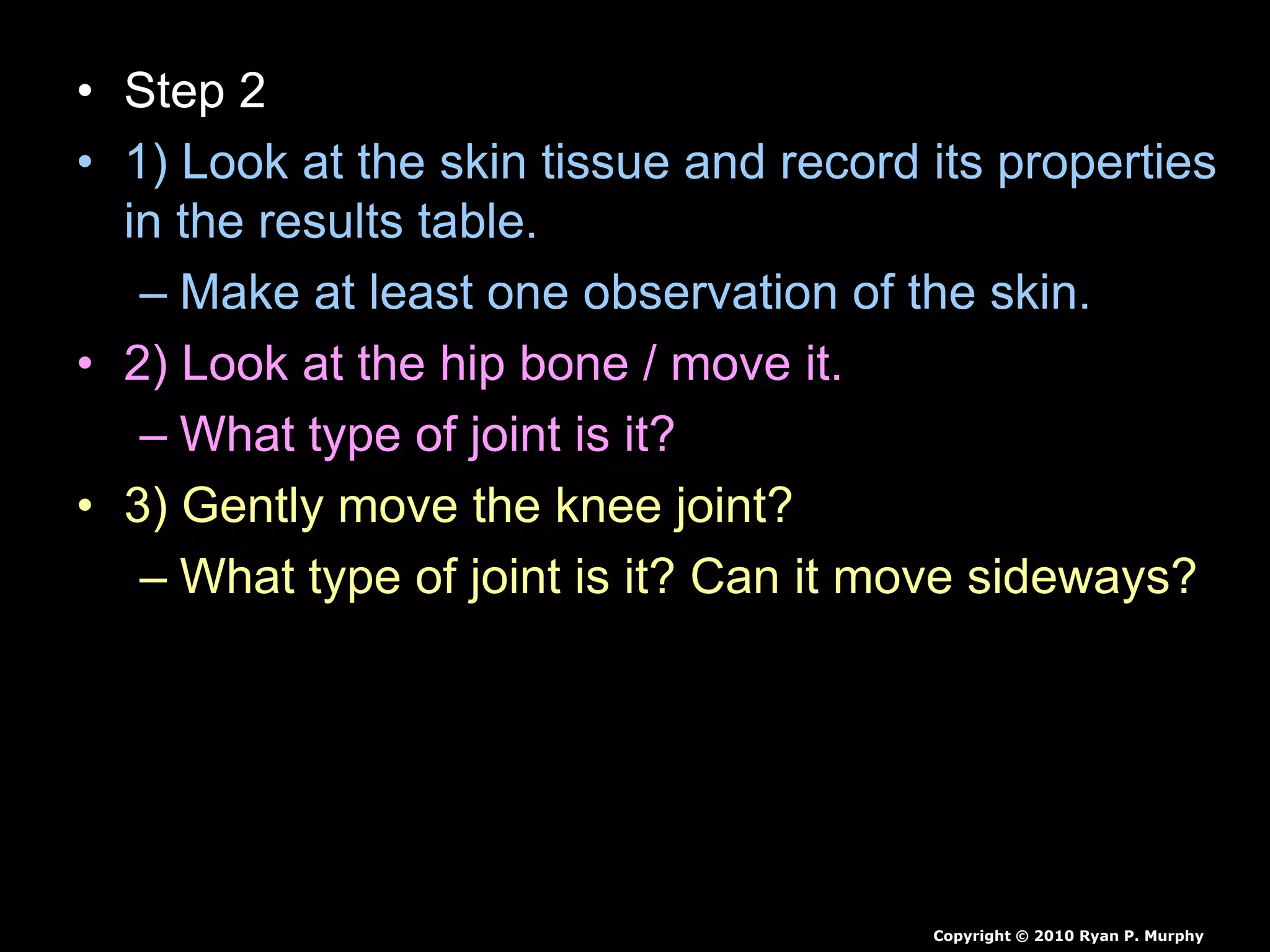 Chicken Leg Dissection PowerPoint, Muscular System, Skeletal System, | PPTX