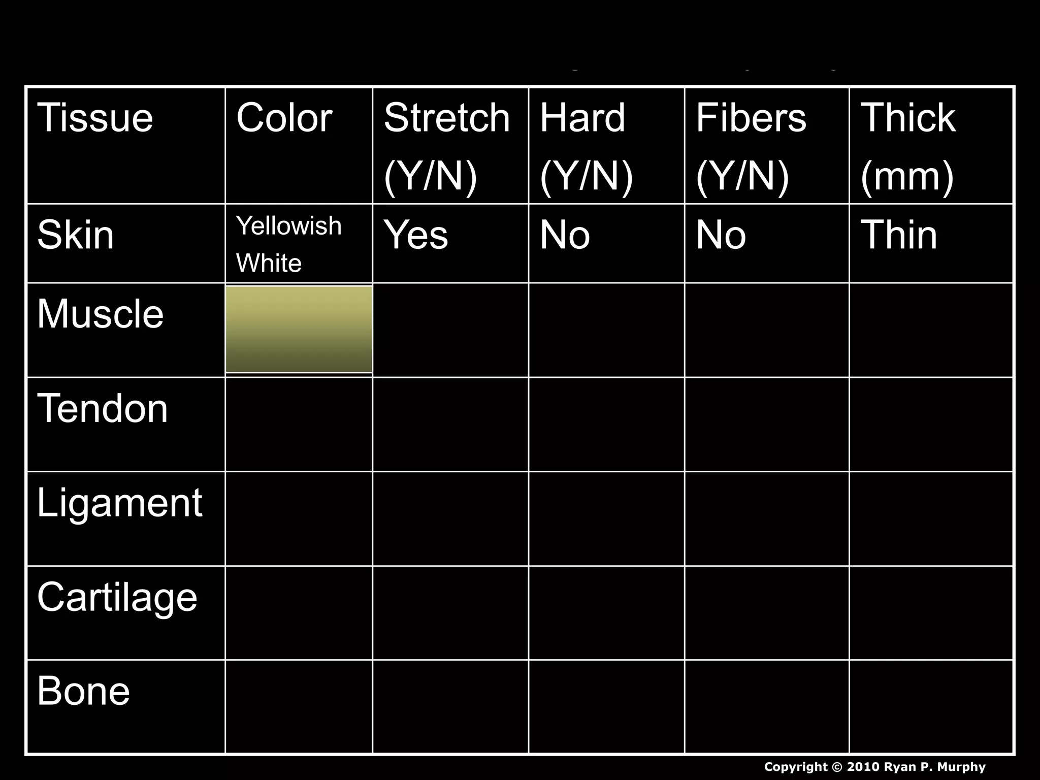 Chicken Leg Dissection PowerPoint, Muscular System, Skeletal System, | PPTX