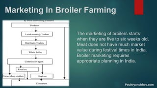 Marketing In Broiler Farming
The marketing of broilers starts
when they are five to six weeks old.
Meat does not have much market
value during festival times in India.
Broiler marketing requires
appropriate planning in India.
Poultryanubhav.com
 
