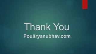 Thank You
Poultryanubhav.com
 