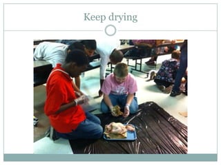 Chicken mummification | PPTX