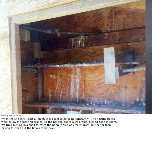 From chicken coop to chicken palace (pdf with notes)