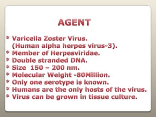 AGENT  * Varicella Zoster Virus.     (Human alpha herpes virus-3).   * Member of Herpesviridae.  * Double stranded DNA.  * Size  150 – 200 nm.  * Molecular Weight -80Million.  * Only one serotype is known.  * Humans are the only hosts of the virus.  * Virus can be grown in tissue culture. 