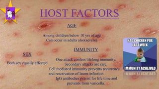 HOST FACTORS
AGE
Among children below 10 yrs of age
Can occur in adults also(severe)
IMMUNITY
One attack confers lifelong immunity.
Secondary attacks are rare.
Cell mediated immunity prevents recurrence
and reactivation of latent infection.
IgG antibodies persist for life time and
prevents from varicella.
SEX
Both sex equally affected
15
 