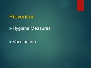 Prevention
Hygiene Measures
Vaccination
 