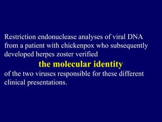 Restriction endonuclease analyses of viral DNA
from a patient with chickenpox who subsequently
developed herpes zoster verified
the molecular identity
of the two viruses responsible for these different
clinical presentations.