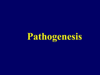 Pathogenesis