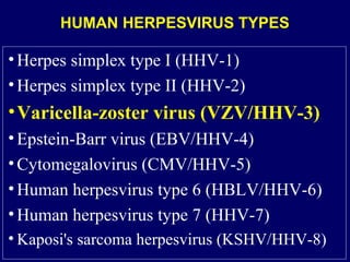 •Herpes simplex type I (HHV-1)
•Herpes simplex type II (HHV-2)
•Varicella-zoster virus (VZV/HHV-3)
•Epstein-Barr virus (EBV/HHV-4)
•Cytomegalovirus (CMV/HHV-5)
•Human herpesvirus type 6 (HBLV/HHV-6)
•Human herpesvirus type 7 (HHV-7)
• Kaposi's sarcoma herpesvirus (KSHV/HHV-8)
HUMAN HERPESVIRUS TYPES