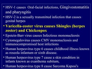 • HSV-1 causes Oral-facial infections, Gingivostomatitis
and pharyngitis
• HSV-2 is a sexually transmitted infection that causes
genital herpes
• Varicella-zoster virus causes Shingles (herpes
zoster) and Chickenpox
• Epstein-Barr virus causes Infectious mononucleosis
• Cytomegalovirus causes CMV mononucleosis and
immunocompromised host infections
• Human herpesvirus type 6 causes childhood illness known
as roseola infantum or sixth disease.
• Human herpesvirus type 7 cause a skin condition in
infants known as exanthema subitum,
• Human herpesvirus type 8 cause Sarcoma Kaposi's