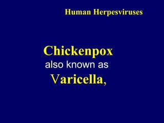 Human Herpesviruses
Chickenpox
also known as
Varicella,