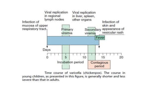 Chickenpox (Varicella) | PPTX