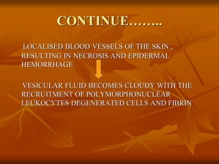CONTINUE……..
LOCALISED BLOOD VESSELS OF THE SKIN ,
RESULTING IN NECROSIS AND EPIDERMAL
HEMORRHAGE
VESICULAR FLUID BECOMES CLOUDY WITH THE
RECRUITMENT OF POLYMORPHONUCLEAR
LEUKOCYTES DEGENERATED CELLS AND FIBRIN
 