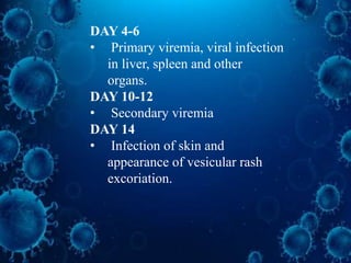 DAY 4-6
• Primary viremia, viral infection
in liver, spleen and other
organs.
DAY 10-12
• Secondary viremia
DAY 14
• Infection of skin and
appearance of vesicular rash
excoriation.
 