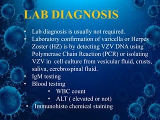 LAB DIAGNOSIS
• Lab diagnosis is usually not required.
• Laboratory confirmation of varicella or Herpes
Zoster (HZ) is by detecting VZV DNA using
Polymerase Chain Reaction (PCR) or isolating
VZV in cell culture from vesicular fluid, crusts,
saliva, cerebrospinal fluid.
• IgM testing
• Blood testing
• WBC count
• ALT ( elevated or not)
• Immunohisto chemical staining
 