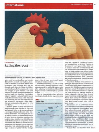 International The EconomistJanuary 19th 2019
Chickenomics
Ruling the roost
COLCHESTER AND GREENWOOD
How chicken became the rich world's most popular meat
I
N A SHED on a poultry farm just outside
Colchester, in south-east England, thou-
sands of chickens sit on piles of their own
excremento The facilities will not be
cleaned until after the birds are killed,
meaning they suffer from ammonia burns
and struggle to grow feathers. Ants and
maggots crawl overthe bodies ofthose that
have not made it to slaughter. The chicken
industry is a dirty business, but it is also a
profitabIe one.In the OECD, a club ofmostiy
rich countries, pork and beefconsumption
has remained unchanged since 1990.
Chicken consumption has grown by 70%
(see chart)".
Humans gobble so many chickens that
the birds now count for 23bn of the 30bn
land animals living on farms. According to
a recent paper by Carys Bennett at the Uni-
versity of Leicester and colleagues, the to-
tal mass offarmed chickens exceeds that of
all other birds on the planet combined. In
London, sorne 50 miles west of Colchester,
fried-chicken shops are ubiquitous. Many
are named after American states (includ-
ing Kansas and Montana, not to mention
Kentucky). But schoolchildren and Iate-
night partiers are unfazed by the strange
names. Nor do they worry much about
where their meal carne from.
And why should they? Chicken is cheap
and delicious.Apound of poultry in Amer-
ica now costs $1.92, a fall of $1.71 since 1960
(after adjusting for inflation). Meanwhile
the price of beef has fallen by $1.17 a pound
to $5.80. .
Fans of cheap chicken have seIective
breeding to thank. In the 1940S America
-Taking flight
OECD countries, meat consumption, kg per person
30
25
20
15
10
O¡ ¡ j ¡, I ' I L "1 ' ¡ ¡ i 1 , ¡ I I i j' I I I I I ¡
1990 95 2000 05 10 15 18
Sourc.: OECD
launched a series of "Chicken of Tomor-
row"competitions for farmers. The aim, as
described by a newspaper at the time, was
to produce "one bird chunky eÍlOugh for
the whole family-a chicken with breast
meat so thick you can carve it into steaks,
with drumsticks that contain a minimum
of bone buried in layers ofjuicydark meat,
all costing less instead of more." The result
was something along the lines of the mod-
ern broiler chicken.
Since then chickens have continued to
get bigger. Astudy byMartin Zuidhofofthe
University ofAlberta and colleagues docu-
mented this shift by comparing <;hickens
that were selectively bred in 1957, 1978 and
2005. The authors found that at 56 days old
the three birds had average weights of
0.9kg, 1.8kg and 4.2kg (see chart on next
pagel. As raisinga single bigbird is more ef-
ficient than raising two smaller ones, it
now takes farmers just1.3kgofgrain to pro-
duce lkg of chicken, down from 2.5kg of
grain in 1985.
The intense use of antibiotics means
that farmers no longer need to spend much
time worrying about their chickens' wel-
fare. Before the second world war, most
birds were raised on small pIots. Farmers
kept hens for eggs and sold ·their meat
when they got too old to lay any more. But
prophyIactics have allowed farmers to pack
chickens into conditions that would
once have been considered unthinkably
cramped and dirty. Birds raised in denser
quarters do not move around much, and so
require less to eat.
Farmers have also benefited from the ~~
 