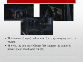 • The shadow (Ginger) makes a run for it, again trying not to be
caught.
• The way the dog hears Ginger first suggests the danger is
nearer; she is about to be caught.
 