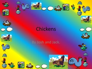 Chickens

By Josh and Jack.
 