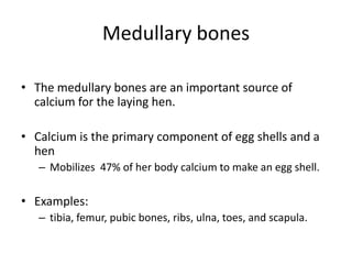 Medullary bones

• The medullary bones are an important source of
  calcium for the laying hen.

• Calcium is the primary component of egg shells and a
  hen
   – Mobilizes 47% of her body calcium to make an egg shell.

• Examples:
   – tibia, femur, pubic bones, ribs, ulna, toes, and scapula.
 