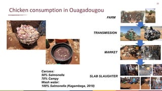 The many roads from farm to fork: Contrasting chicken systems and safety in Burkina Faso, Ethiopia and the UK