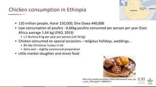 The many roads from farm to fork: Contrasting chicken systems and safety in Burkina Faso, Ethiopia and the UK
