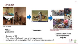 The many roads from farm to fork: Contrasting chicken systems and safety in Burkina Faso, Ethiopia and the UK