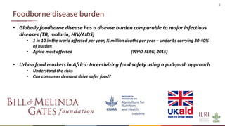 The many roads from farm to fork: Contrasting chicken systems and safety in Burkina Faso, Ethiopia and the UK