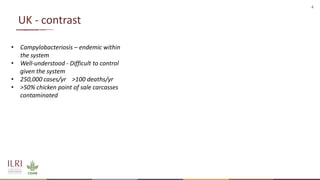 The many roads from farm to fork: Contrasting chicken systems and safety in Burkina Faso, Ethiopia and the UK