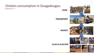 The many roads from farm to fork: Contrasting chicken systems and safety in Burkina Faso, Ethiopia and the UK