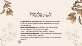 Chicken Vision.pdf file about the anatomy of chicken eyes | PDF