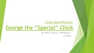 Chick Gene Project:

George the “Special” Chick
By: Neha K., Olivia L., and Rachel H.
1st Period

 