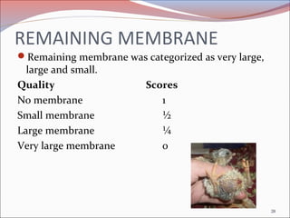 REMAINING MEMBRANE
Remaining membrane was categorized as very large,
large and small.
Quality Scores
No membrane 1
Small ...
