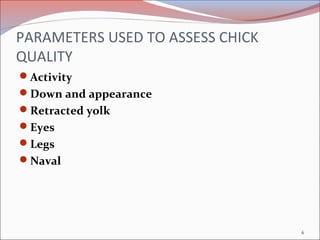 PARAMETERS USED TO ASSESS CHICK
QUALITY
Activity
Down and appearance
Retracted yolk
Eyes
Legs
Naval
6
 