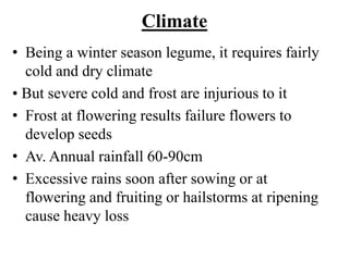 Climate
• Being a winter season legume, it requires fairly
cold and dry climate
• But severe cold and frost are injurious to it
• Frost at flowering results failure flowers to
develop seeds
• Av. Annual rainfall 60-90cm
• Excessive rains soon after sowing or at
flowering and fruiting or hailstorms at ripening
cause heavy loss
 