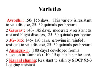 Varieties
Avrodhi : 150‐ 155 days, This variety is resistant
to wilt disease, 25‐ 30 quintals per hectare.
2 Gaurav : 140‐ 145 days, moderately resistant to
rust and blight diseases, 25‐ 30 quintals per hectare
3 JG‐ 315: 145‐ 150 days, growing in rainfed ,
resistant to wilt disease, 25‐ 30 quintals per hectare.
4 Annegri‐ 1 : (100 days) developed from a
selection in Karnataka. 10‐ 15 quintals per hectare.
5 Karnal channa: Resistant to salinity 6 DCP 92-3
Lodging resistant
 