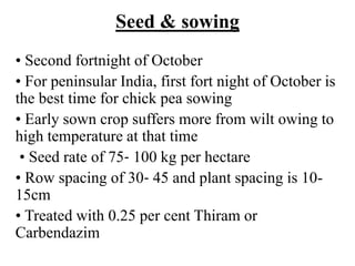 Seed & sowing
• Second fortnight of October
• For peninsular India, first fort night of October is
the best time for chick pea sowing
• Early sown crop suffers more from wilt owing to
high temperature at that time
• Seed rate of 75‐ 100 kg per hectare
• Row spacing of 30‐ 45 and plant spacing is 10-
15cm
• Treated with 0.25 per cent Thiram or
Carbendazim
 