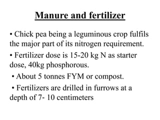 Manure and fertilizer
• Chick pea being a leguminous crop fulfils
the major part of its nitrogen requirement.
• Fertilizer dose is 15-20 kg N as starter
dose, 40kg phosphorous.
• About 5 tonnes FYM or compost.
• Fertilizers are drilled in furrows at a
depth of 7‐ 10 centimeters
 