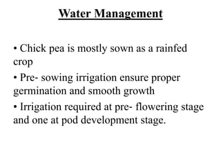 Water Management
• Chick pea is mostly sown as a rainfed
crop
• Pre‐ sowing irrigation ensure proper
germination and smooth growth
• Irrigation required at pre‐ flowering stage
and one at pod development stage.
 